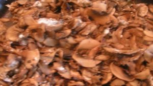 Курица с грибами на сковороде