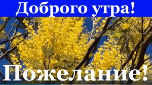 Пожелание! Доброго утра! В самом лучшем ритме!