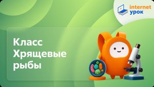 Класс Хрящевые рыбы. Видеоурок по биологии 7 класс