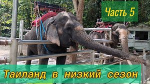 Таиланд в низкий сезон 2025 часть №5. Поездка по острову Самуй