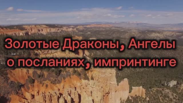 Золотые Драконы, Ангелы о посланиях, импринтинге 26.07.2025г  (94 Послание)