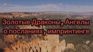 Золотые Драконы, Ангелы о посланиях, импринтинге 26.07.2025г  (94 Послание)