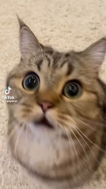 кст угадайте в каком я классе