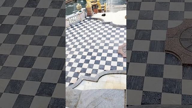 Прогулка по Нижнему парку Петергофа.