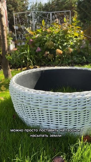 Корзинки для малинки