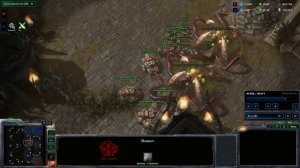 Протос ладдер