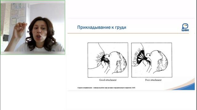 Успешное грудное вскармливание. Часть 4.  Прикладывание ребенка к груди