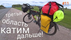 11. Заехал в Новосибирскую область! Жрут комары! кругом болота!