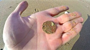 ШТОРМ СДЕЛАЛ МОЙ ДЕНЬ / СЕРЕБРО ТАК И ПРЁТ!!!