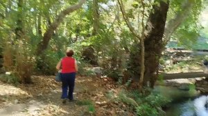 ШИКАОХСКИЙ ЗАПОВЕДНИК.Платановая роща Армения.10.09.2025.День3.