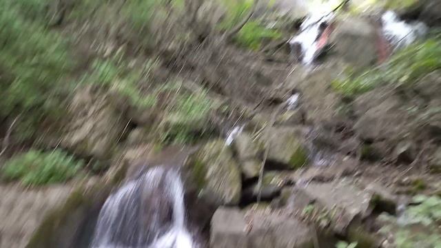 1000618897.mp4