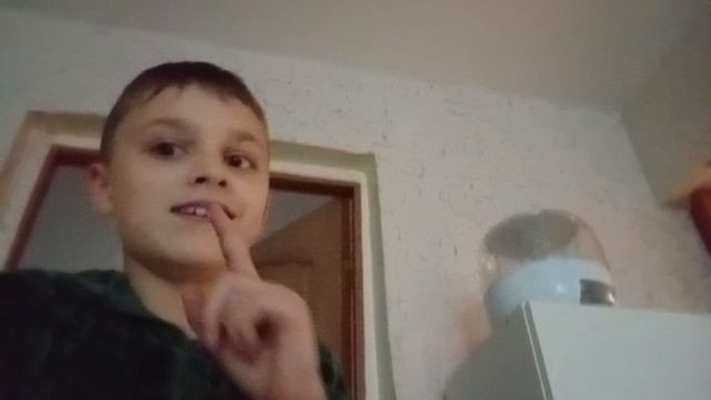 Стрим!!!!!