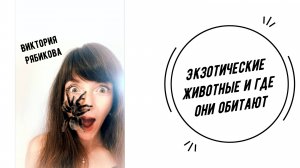 Экзотические животные и где они обитают | Виктория Рябикова