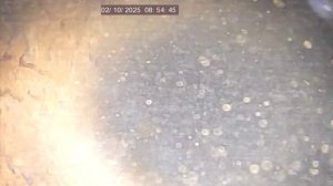 Бел обл Терехово