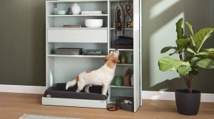 Индивидуальный шкаф для собаки! 3Д-конфигуратор как инструмент для размещения клиентских заказов