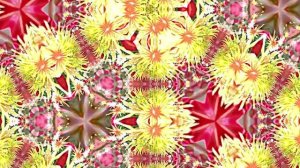 Видеофоны! Видеофон Осенняя цветочная фантазия 4 от Киностудии Мудрого Кота Тимофея!