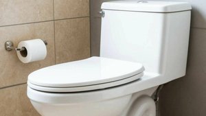 Как заменить сливной механиз в бачке унитаза.