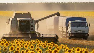 🚜 ПЕРЕСЕЛ НА КОМБАЙН... УБОРКА УРОЖАЯ 🌻 СЕМЕЧКИ 2025... Камаз зерновоз