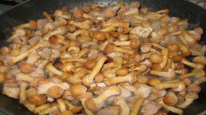 Картошка со свининой и грибами на сковороде