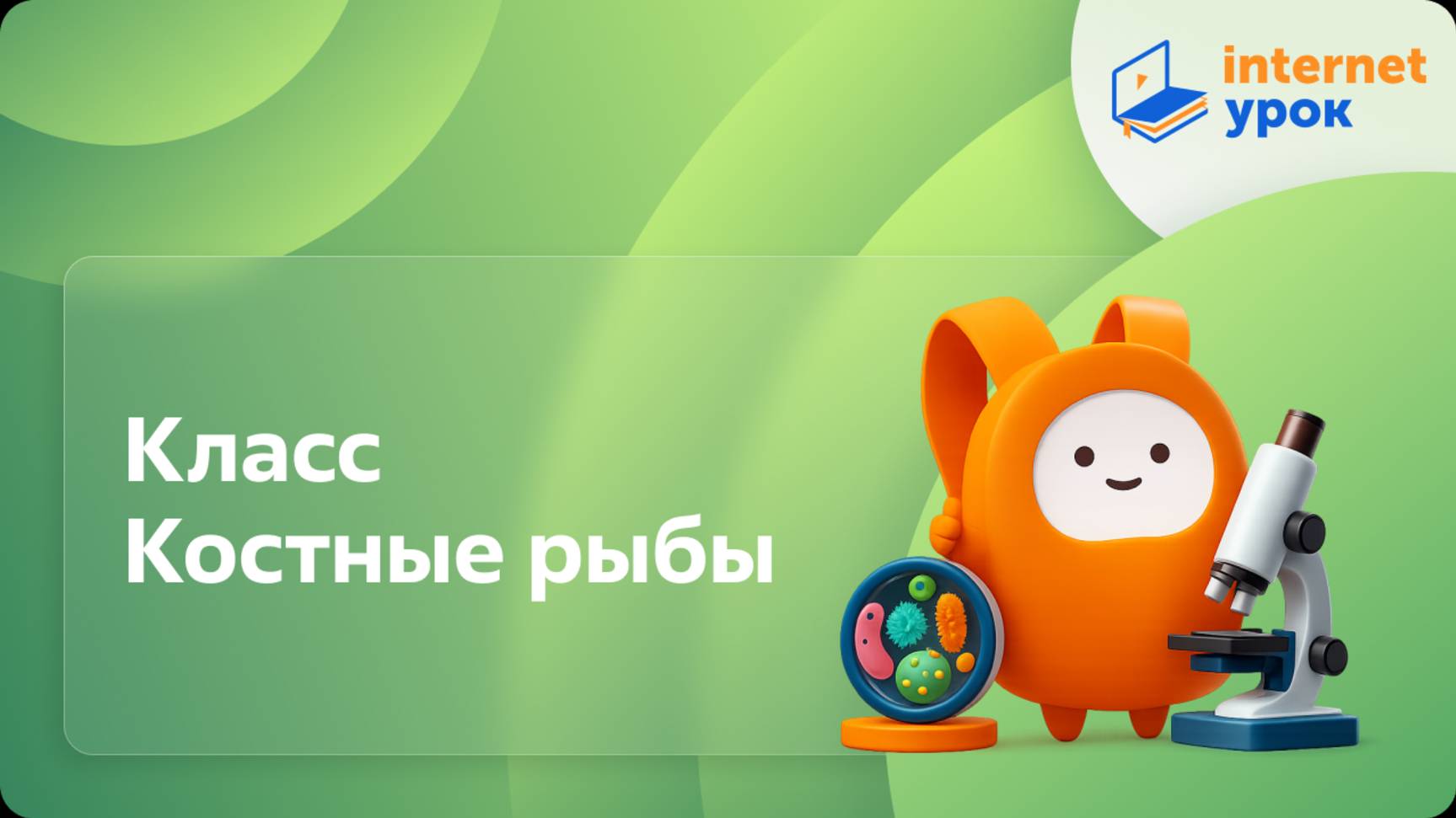 Биология 7 класс. Класс Костные рыбы смотреть онлайн