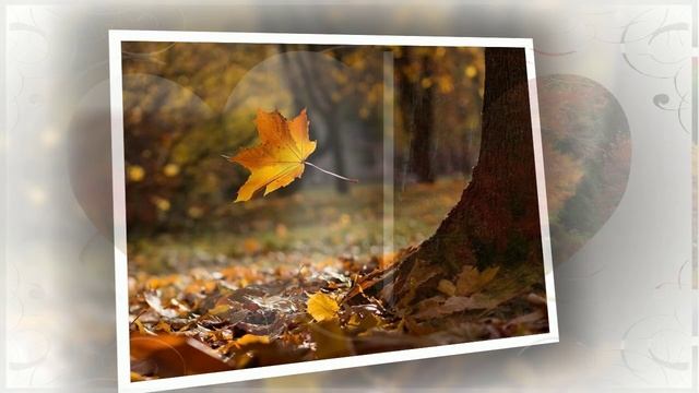 ЗДРАВСТВУЙ ОСЕНЬ смотреть онлайн