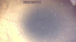 Бел обл Вознесеновка 262.159