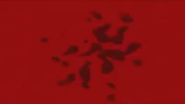 Klasky Csupo Effects (Sponsored by Preview 2 Effects) 02.10.2025