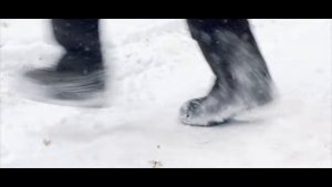 Нейромонах Феофан - Холодно в лесу (фан-клип)