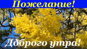 Классное пожелание доброго утра и хорошего дня!