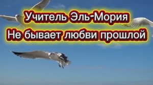 Учитель Эль-Мория. Не бывает любви прошлой 27.07.2025г    (95 Послание)