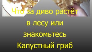 капустный гриб или гриб-баран