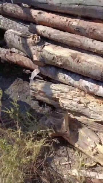 В предложку пришло видео гуляющее по инстаграму, где хохлы жалуются на то что у них все плохо. смотреть онлайн