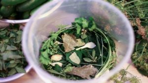 Квашеные огурчики