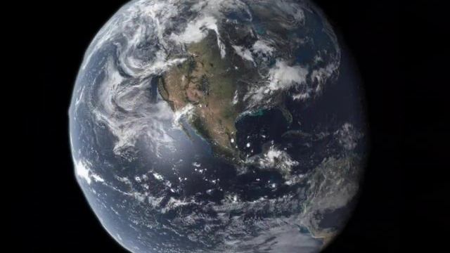 Млекопитающие