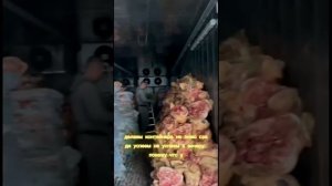 Делаем электрику в трех рефрижераторах и тех помещениях.