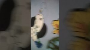 игра в кальмара