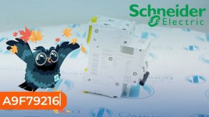 A9F79216 Выключатель автоматический Schneider Electric - Олниса