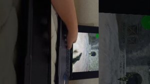 игрушки на ноуте