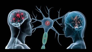 04. Зеркальные нейроны || Знамения для размышляющих