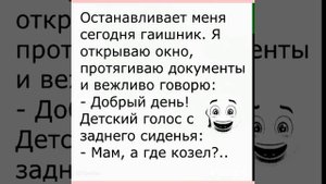 Юмор