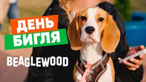 День Бигля