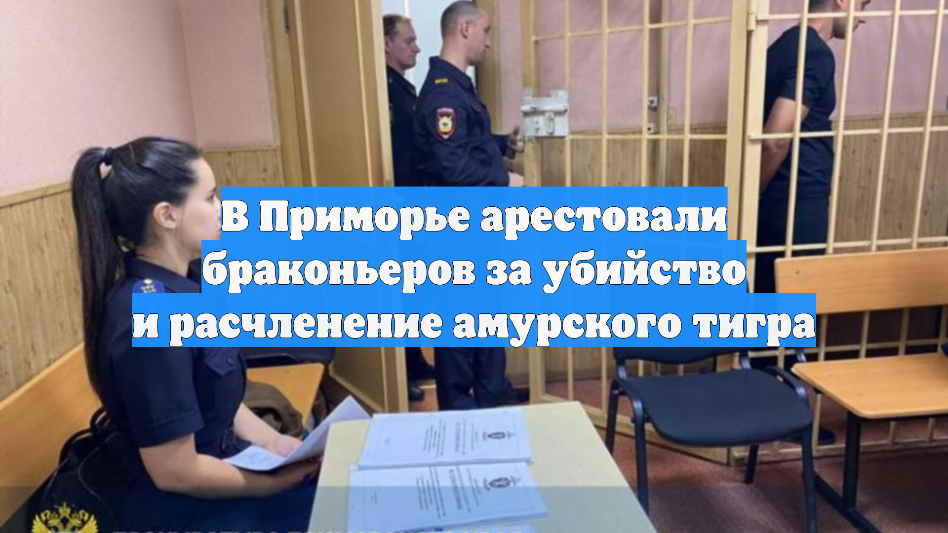 В Приморье арестовали браконьеров за убийство и расчленение амурского тигра