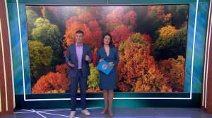 Утро в Петербурге 2 октября