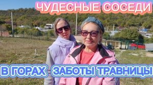 ЗАБОТЫ ТРАВНИЦЫ В КАВКАЗСКИХ ГОРАХ. ЧУДЕСНЫЕ СОСЕДИ