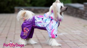 Comfortable shoes and overalls by FOR MY DOGS