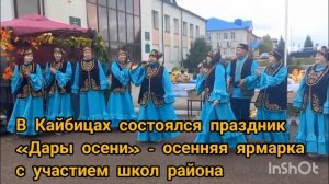 В Кайбицах состоялся праздник «Дары осени» - осенняя ярмарка с участием школ района