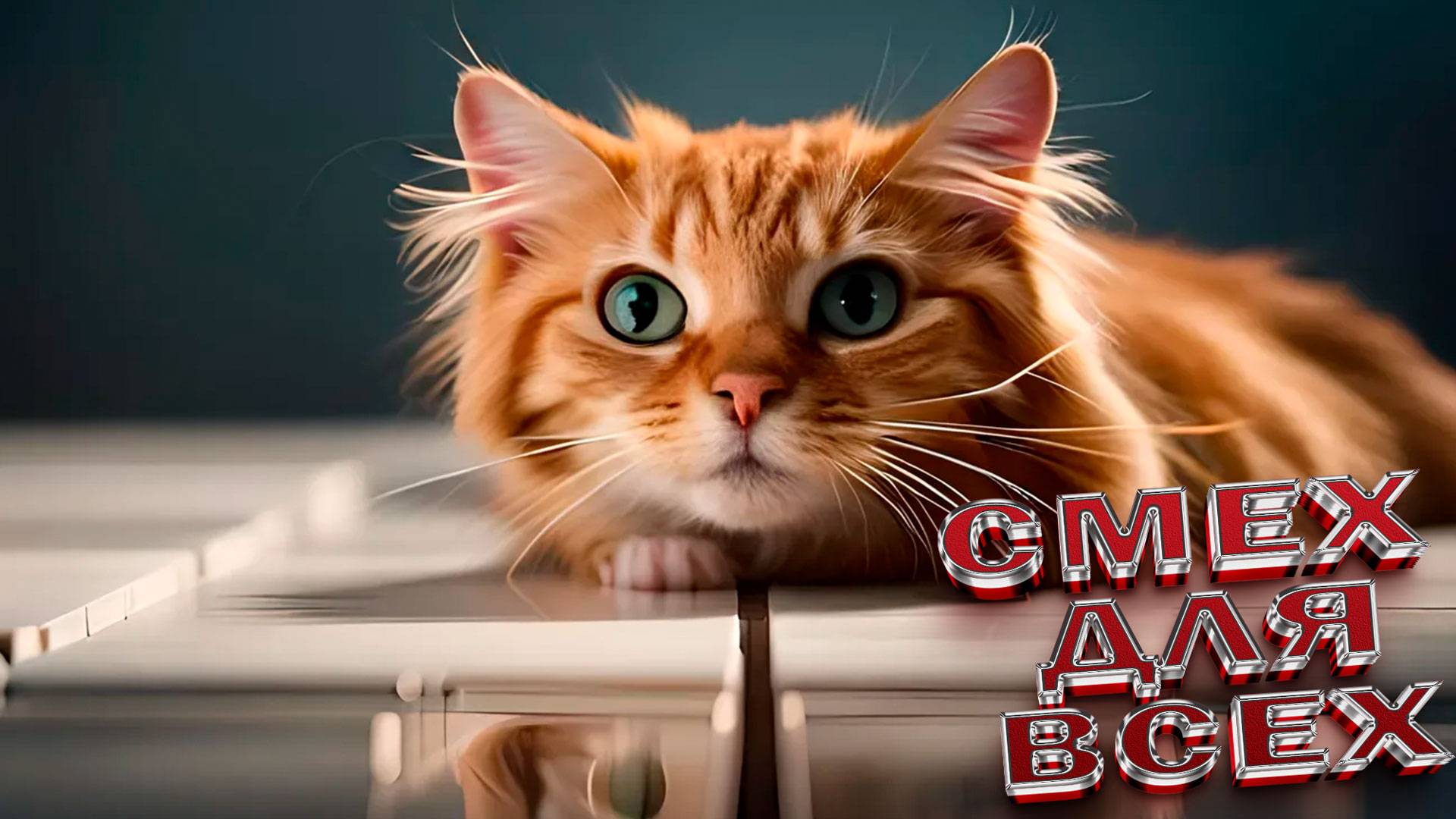ПРИКОЛЫ С КОТАМИ😸Самые смешные животные😸 СМЕШНЫЕ КОТЫ Угарные коты и собаки заставят вас смеяться