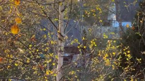 Участок Войбокало