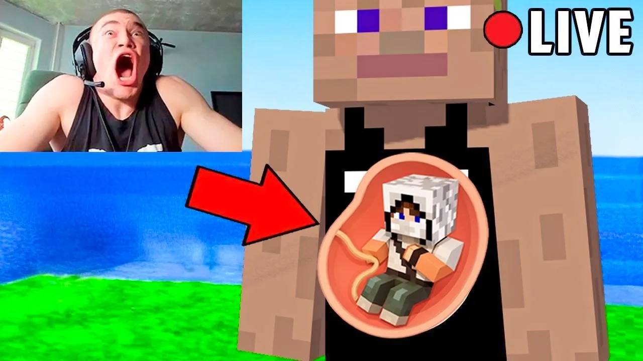 Я затроллил Стримера МОДОМ НА БЕРЕМЕННОСТЬ в Майнкрафт... смотреть онлайн