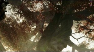 IN GOOD FAITH Shadows